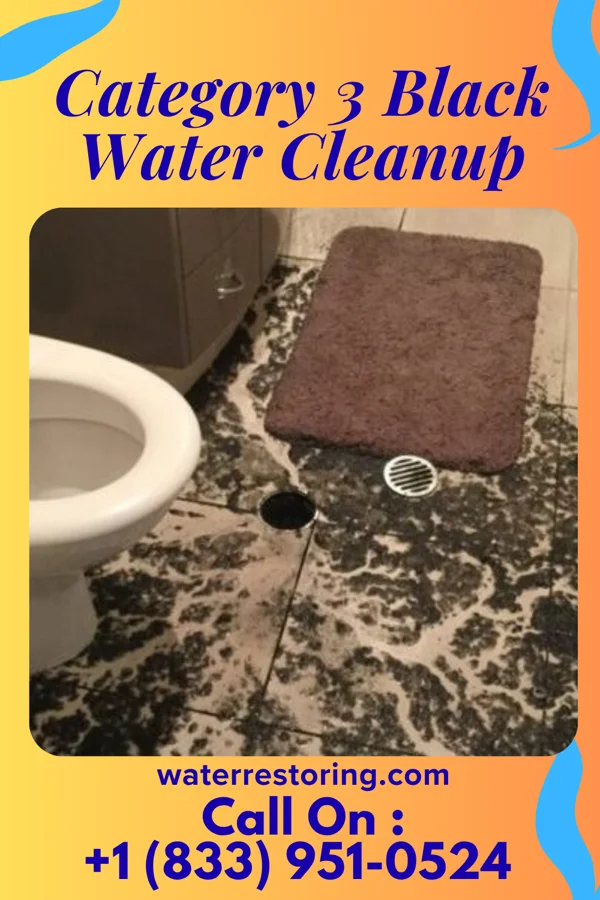 Category 3 Black Water Cleanup in Waverly, MI