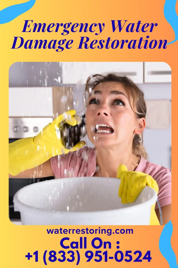 Emergency Water Damage Restoration in Waverly, MI