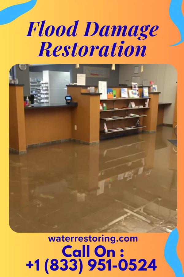 Flood Damage Restoration in Waverly, MI