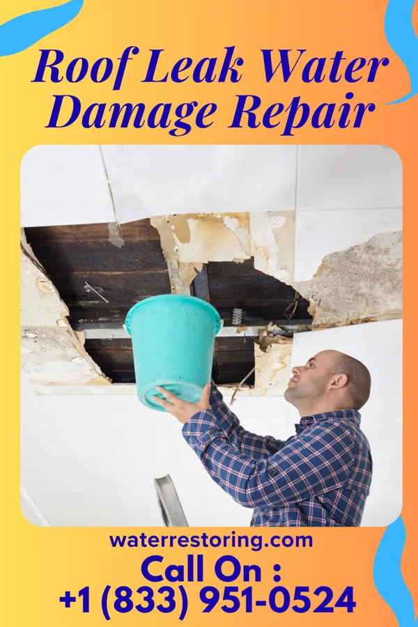 Roof Leak Water Damage Repair in Waverly, MI