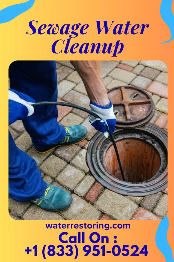 Sewage Water Cleanup in Waverly, MI